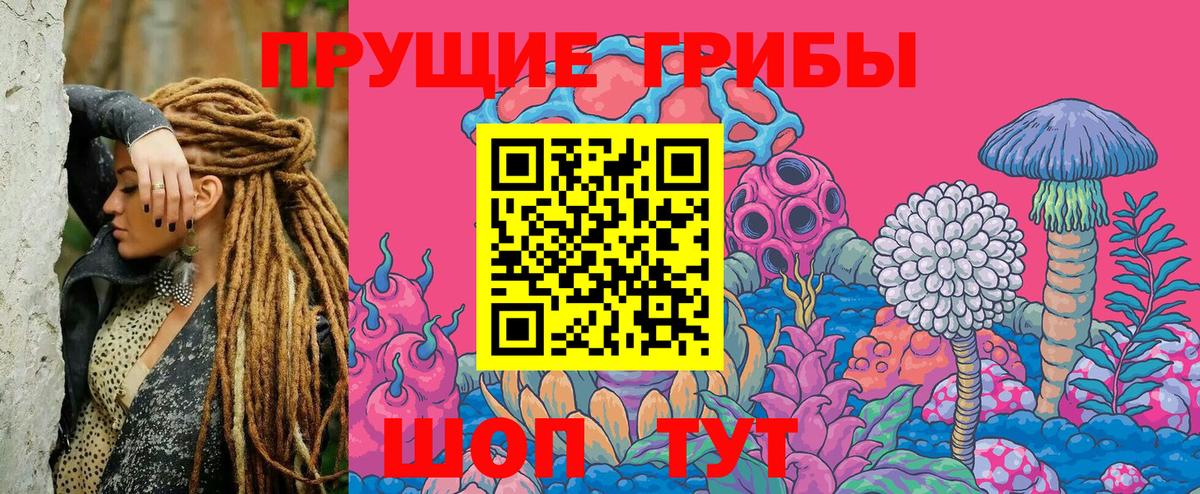 Галлюциногенные грибы Psilocybe  Вход с VPN  Советская Гавань 