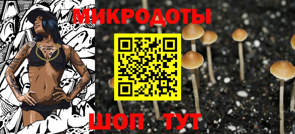 Псилоцибиновые грибы Cubensis Советская Гавань